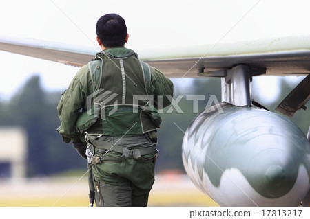 Air Self Defense Force fighter pilot 17813217