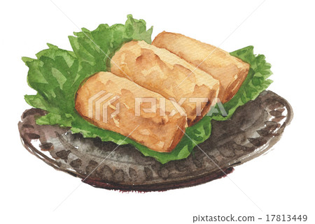 Spring roll 15930 pix 1 17813449
