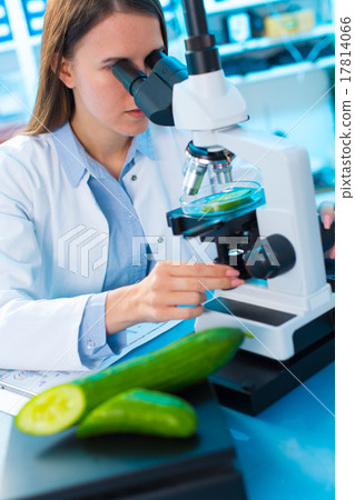 Inspection of fruits and vegetables for harmful substances 17814066