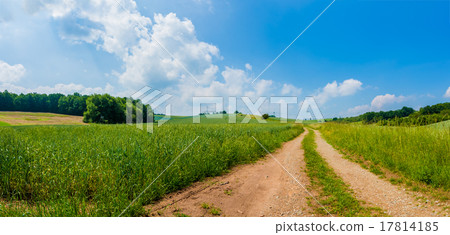 sunny green field panorama 17814185