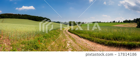 sunny green field panorama sunny green field panorama 17814186