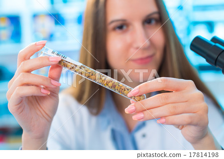Different varieties of lentils in a laboratory breeding and gene Different varieties of lentils in a laboratory breeding and gene 17814198