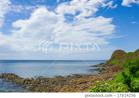 Summer Oshinkosinzaki 17814256