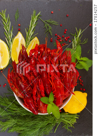 Crayfish 17814257