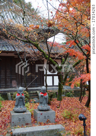 Zenlinji Eikendo秋葉 17814263