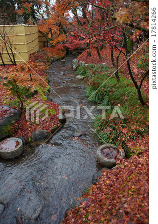 Zenlinji Eikendo秋葉 17814266