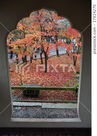 Zenlinji Eikendo autumn leaves Zenlinji Eikendo autumn leaves 17814270