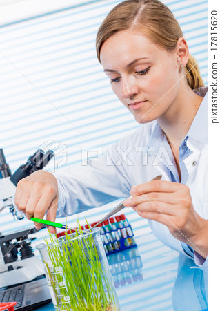 Technician in laboratory Research green plants Technician in laboratory Research green plants 17815620