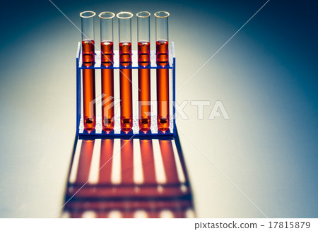 Test tubes with samples in a scientific laboratory Test tubes with samples in a scientific laboratory 17815879