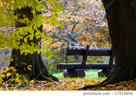 bench in the autumn park 17818608