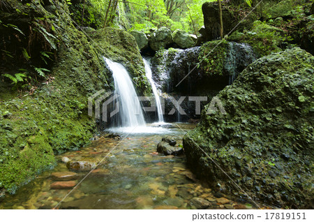 森林水源 森林水源 17819151