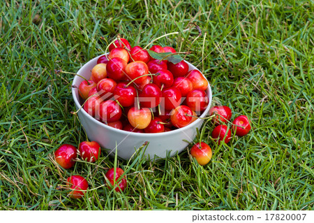 fresh sweet cherry fruits 17820007
