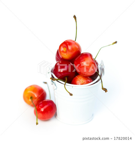 Sweet cherry Sweet cherry 17820014