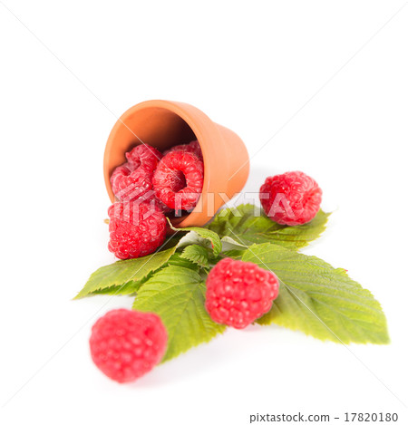 Raspberry Raspberry 17820180