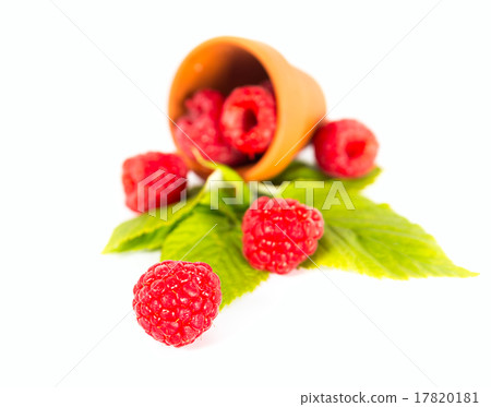 Raspberry Raspberry 17820181