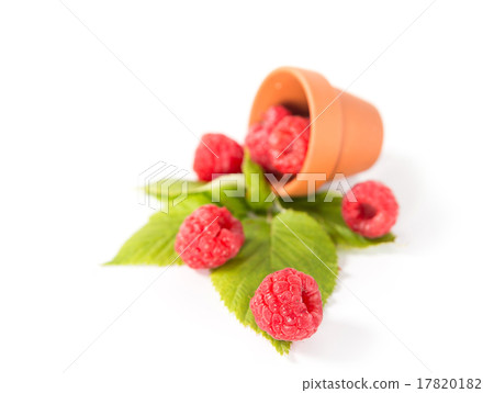 Raspberry Raspberry 17820182