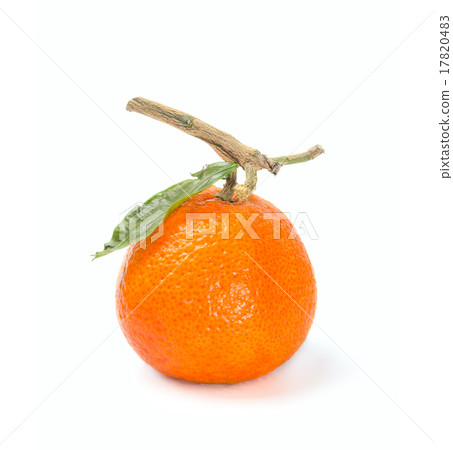 Citrus fruits on white background Citrus fruits on white background 17820483
