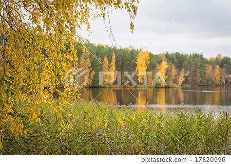 fall autumn lake in the forest 17820996