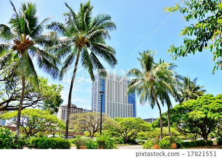 Holidays in Hawaii 17821551