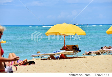 Holidays in Hawaii 17821554