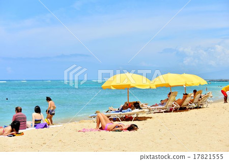 夏威夷的假期 夏威夷的假期 17821555