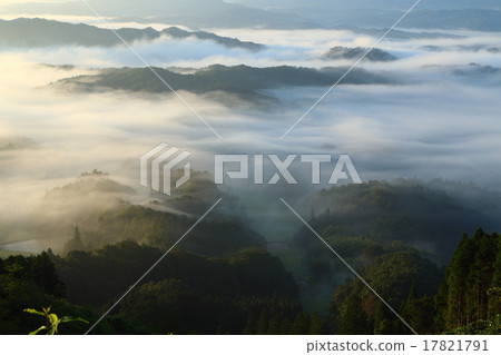 雲海 雲海 17821791