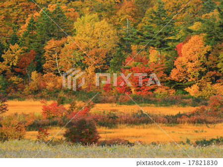 Autumn leaves of Hachimantai Onuma Autumn leaves of Hachimantai Onuma 17821830