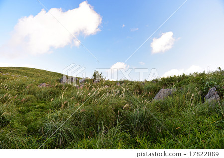 scenery 17822089