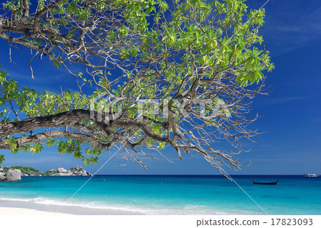 Tropical beach of Similan Islands, Andaman Sea, Thailand 17823093