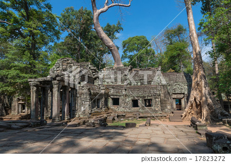 Big tree on the ancient Prasat Ta Phrom, Angkor Wat, Cambodia 17823272
