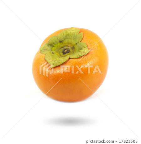 one persimmon on white background 17823505