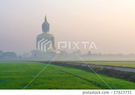 The Big Buddha at Wat Muang Temple with fog and grass when sunri 17823731