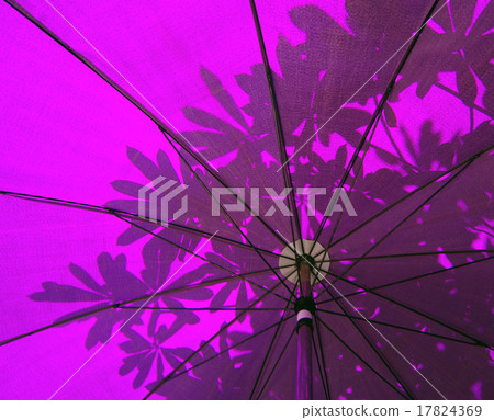 Under a purple Oriental Umbrella with abstract leaf 17824369