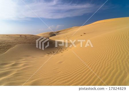 sand dunes at muine, vietnam 17824829