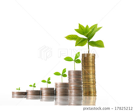 stacks of coins with seed on white background,business investmen 17825212