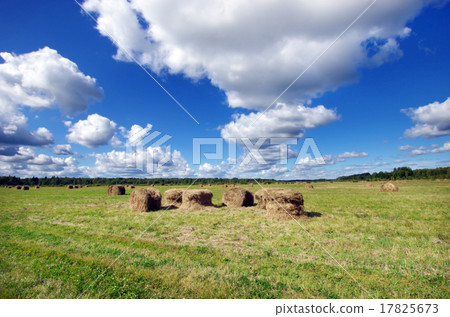 Haystacks on the field 17825673