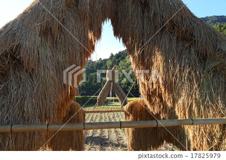 Yosukehade Yosukehade 17825979