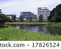 橋上的橋 17826524