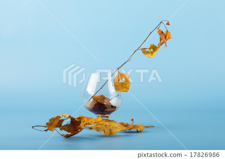 Fallen autumn leaves with glass 17826986