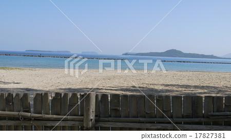 H·Chrysanthema海灘 17827381