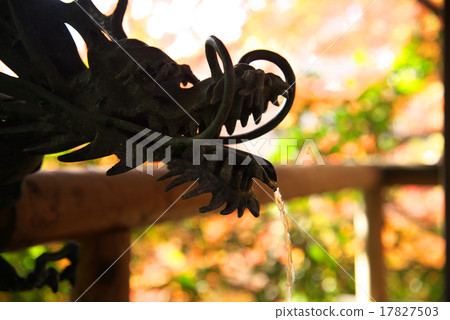 Autumn leaves of Yeozumi Valley Autumn leaves of Yeozumi Valley 17827503