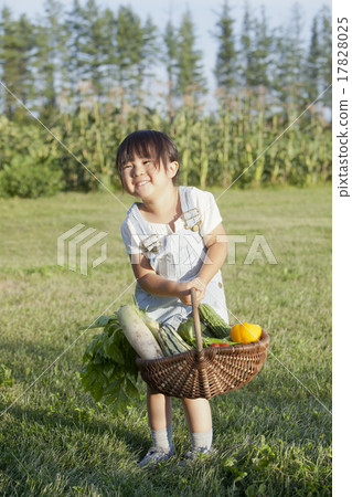 Home garden 17828025