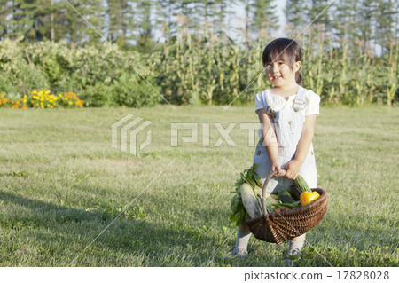 Home garden 17828028
