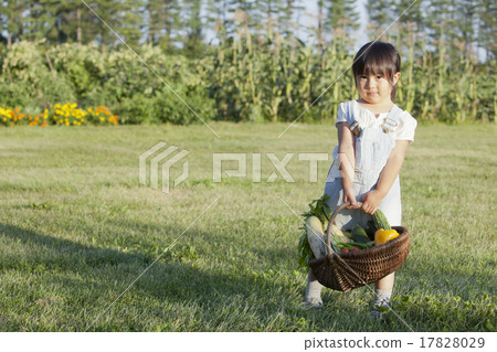 Home garden 17828029
