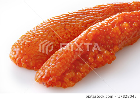 魚子 魚子 17828045