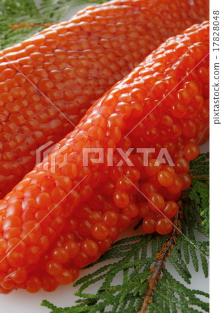 Suji Suji 17828048