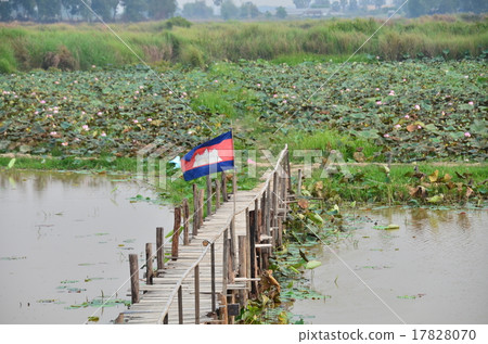 Cambodia Tonle Sap Lake Cambodian flag and lotus flower 17828070