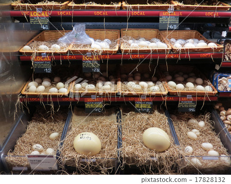 New York Brooklyn supermarket egg shop egg a la carte New York Brooklyn supermarket egg shop egg a la carte 17828132