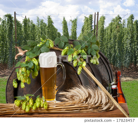 still life with beer 17828457