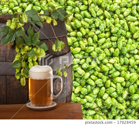 beer 17828459